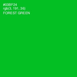 #03BF24 - Forest Green Color Image